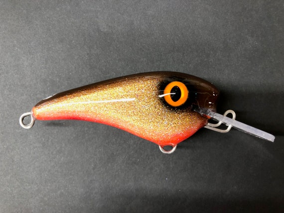 carp fish lure Vilbocr Fishing Lures 2 Bottles Power Bait Smell Fishing Bait Boilies Eggs Natural Bait Scent Attractants for Baits Power Bait Trout Bait : Sports & Outdoors The mixed 6 oz Master Bait - Orange Belly