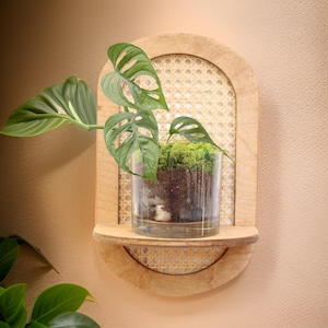 Rottingväxthylla - Väggplanter i rotting - Rottinglampa - Boho rotting