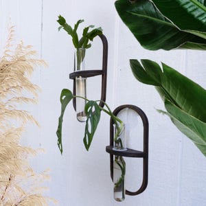 Geometric Propagation Bud Vases - Modern Plant Decor, Test Tube Propagation Station, Wall Planter, Unique Home Decor