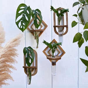 Propagation Wall Vase - Geometric Bud Vase for Hydro Planter & Test Tube Propagation - Modern Wall Planter Décor