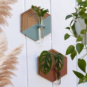Könnte beinhalten: Zwei sechseckige Wandbepflanzer mit geometrischem Design. Der obere Pflanzer ist hellblau gestrichen, der untere Pflanzer ist terracottafarben. Beide Pflanzer haben ein klares Glasröhrchen zum Halten von kleinen Pflanzen.