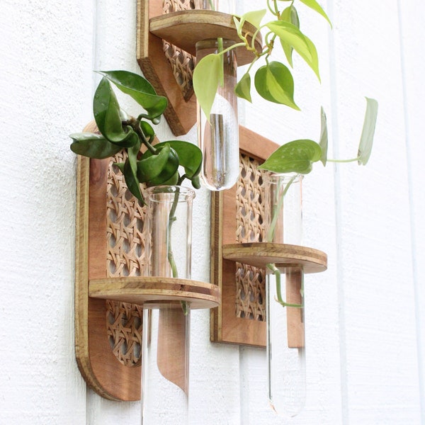 Rattan Propagation Wall Hanging - Boho Hydro Planter - Wall Planter - Geometric Planter - Propagation Station - Test Tube Propagation