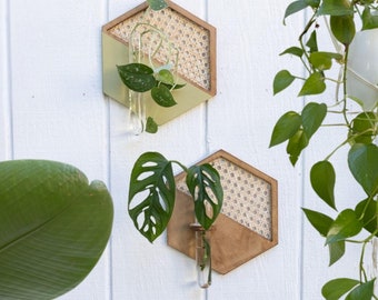 Hexagon Geometric Rattan Propagation Plant Vase - Boho Wall Vase & Test Tube Bud Display - Modern Propagation Station Décor