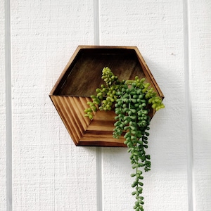 Geometric Wall Hanging - Succulent Planter - Wood Planter - Wall Planter - Geometric Planter - Hanging Planter