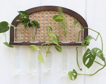 Rattan Propagation Wall Hanging - Boho Hydro Planter - Wall Planter - Geometric Planter - Propagation Station - Test Tube Propagation