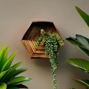 Puede incluir: Un macetero hexagonal de madera de pared con una planta suculenta verde que cuelga. El macetero está montado en una pared de color beige claro.