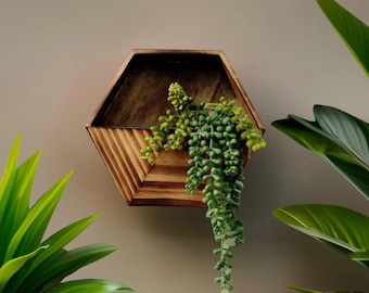 Jardinera de pared hexagonal geométrica - Jardinera de madera y suculentas - Decoración colgante para el hogar moderno - Regalo para los amantes de las plantas