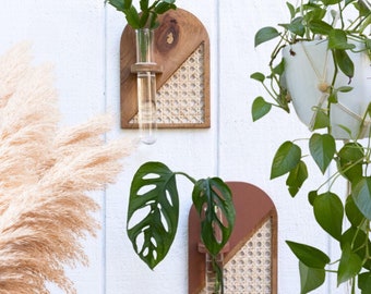 Arch Rattan Propagation Vase - Boho Wall Décor & Modern Test Tube Bud Display - Gift for Plant Lover