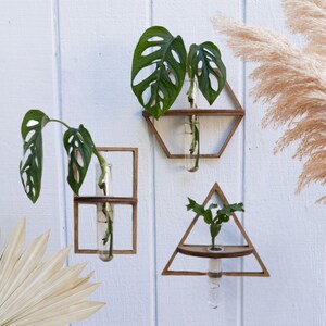 Geometric Propagation Bud Vases - Modern Plant Decor, Test Tube Propagation Station, Wall Planter, Unique Home Decor