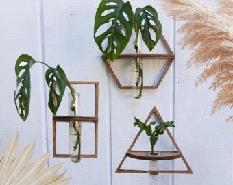 Jarrones de propagación geométrica: decoración de plantas modernas, estación de propagación de tubos de ensayo, jardinera de pared, decoración única para el hogar