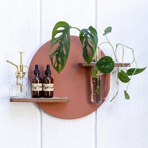 Può includere: Un ripiano a muro circolare color terracotta con due piccole bottiglie di vetro e una pianta in un tubo di vetro. Il ripiano ha una piccola mensola in legno per le bottiglie. La pianta è una Monstera Deliciosa con foglie verdi.