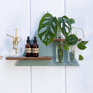 Puede incluir: Una estantería triangular de madera pintada de verde claro con una pequeña planta en maceta, dos botellas de vidrio con etiquetas y una pequeña regadera de latón. La estantería está montada en una pared blanca.
