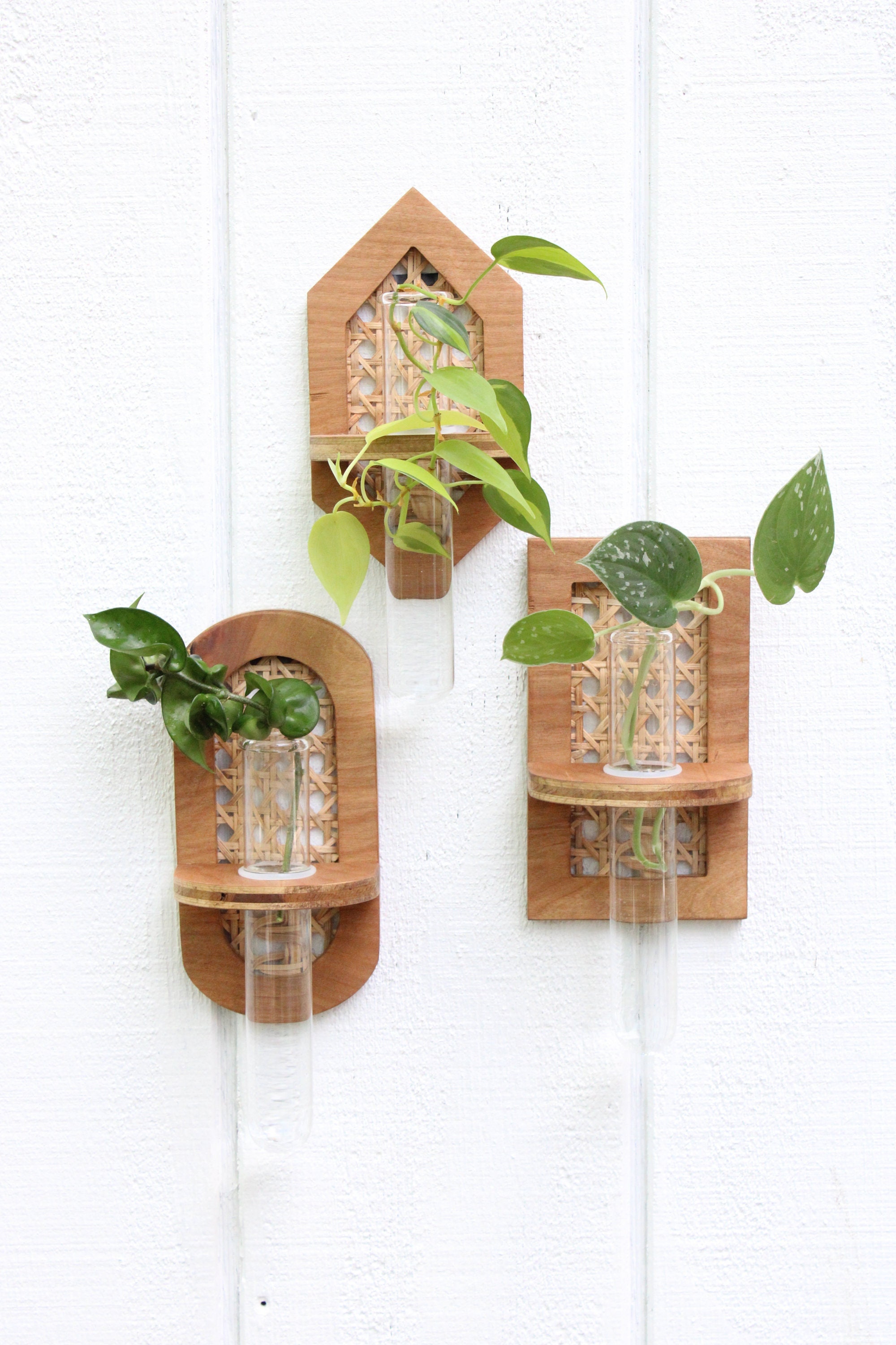 Plant Propagation Stations Wall Hanging Plant Terrariums Tabletop Glass Wooden Stand With 3 Propagation Tubes