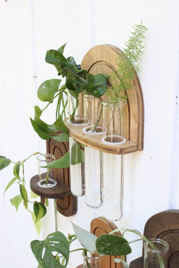 Rainbow Propagation Wall Hanging - Boho Hydro Planter - Wall Planter -  Geometric Planter - Propagation Station - Test Tube Propagation - Etsy  Canada