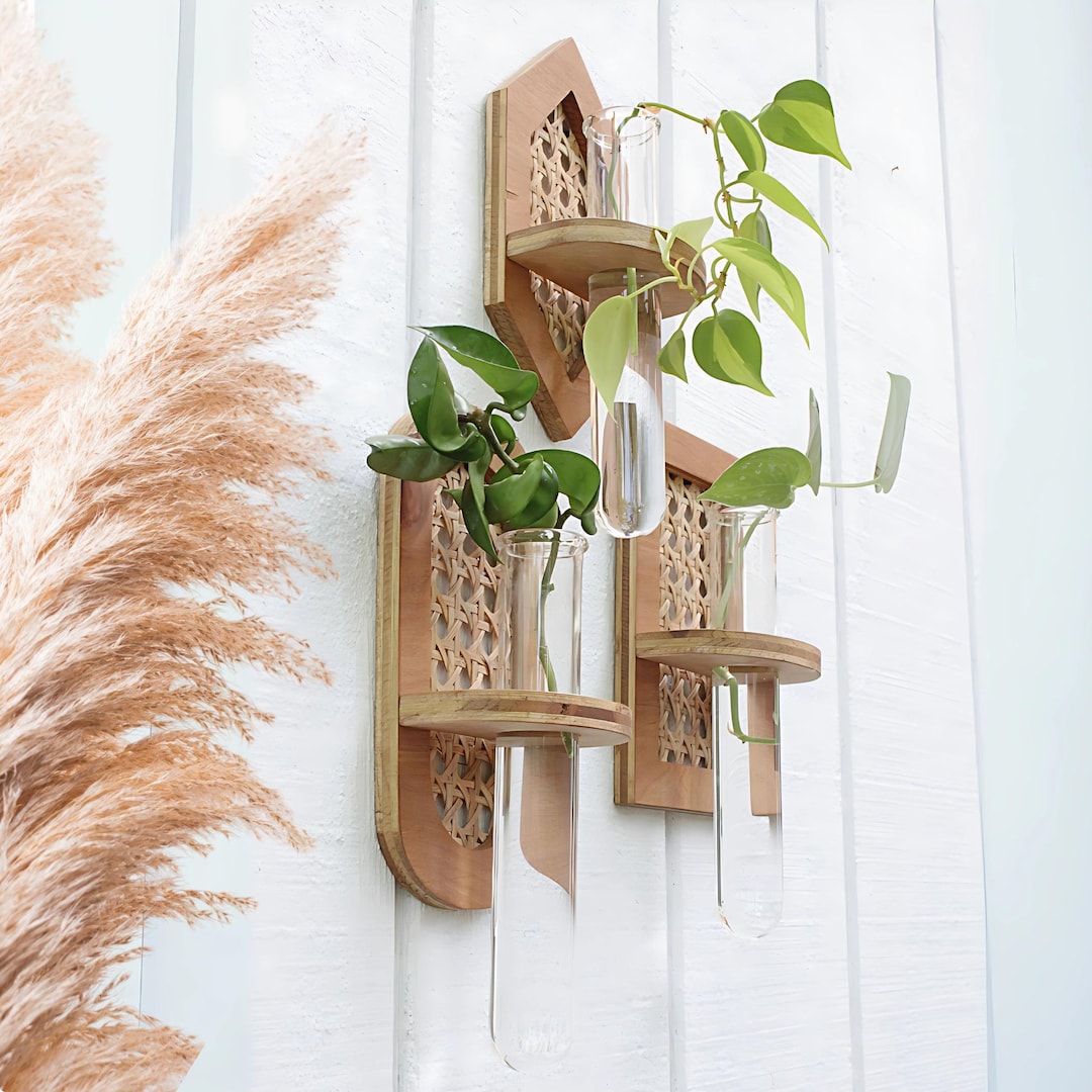 【真空管】Rags Wall Effects Tube Plant Stomp Rags Wall Effects 真空管 Tube Plant Stomp 最新