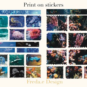 Aquarium inspirierte Sticker Rub on Transfer Sticker