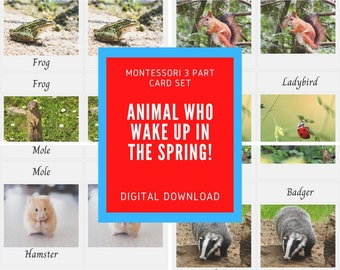 Animal who wake up in the spring- 3 part cards Montessori, flashcards, nomenclature cards, printable- English,