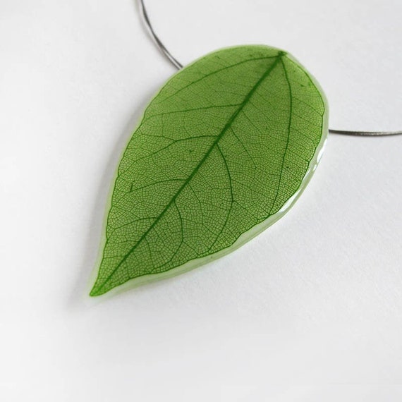 Green Bay Leaf Pendant Pressed leaves botanical Etsy