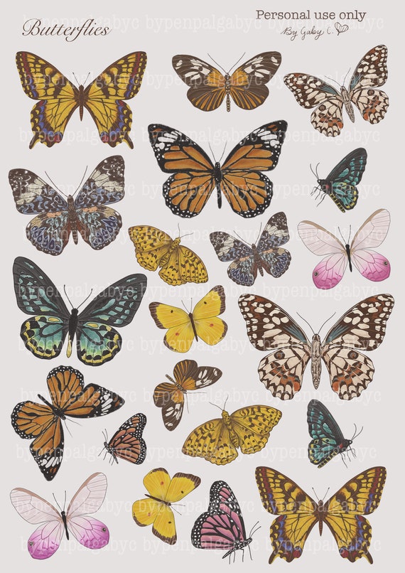 Butterflies Printable - Etsy