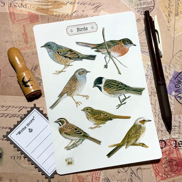 Stickers - birds-