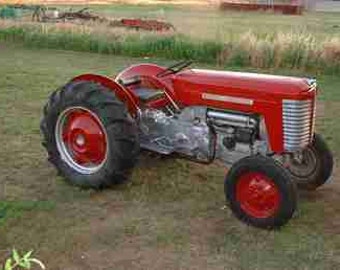 MASSEY FERGUSON MF50 Traktor Teile Handbuch für MF 50 Service Reparatur und Restaurierung