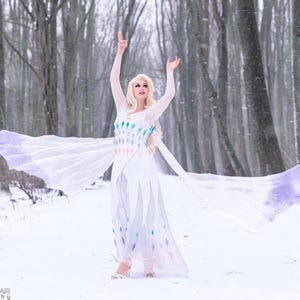 Elsa Spirit Cosplay Costume
