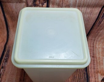 Vintage Tupperware 256-8 Large Carry All Container With Lid 224-16
