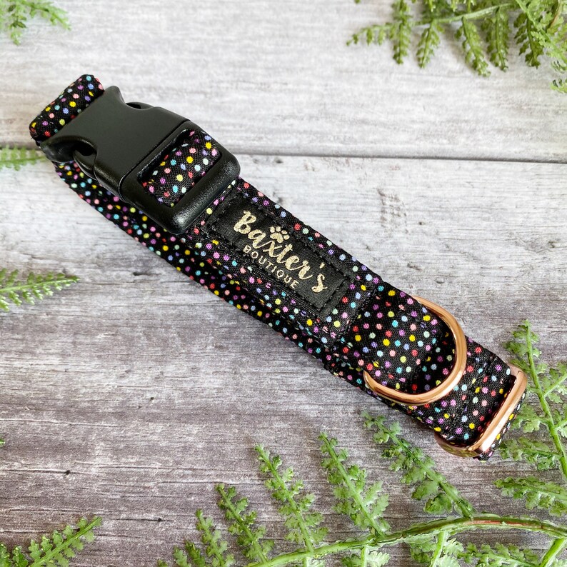 Dog Collar Rainbow Sprinkles Dog Collar Handmade Dog Etsy