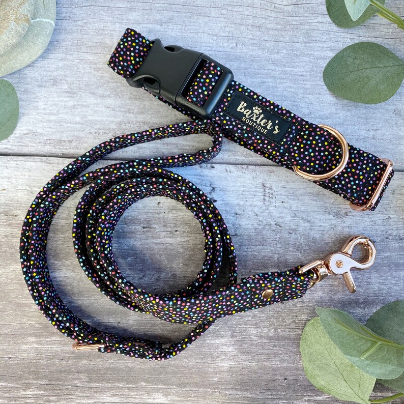 Dog Collar Rainbow Sprinkles Dog Collar Rainbow Dog Collar Etsy