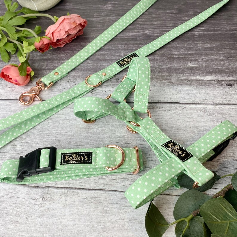 Custom Dog Harness Mojito Green Polka Dot Print Dog Harness Dog Harness Puppy Harness Strap Dog Harness Polka Dot Dog Harness