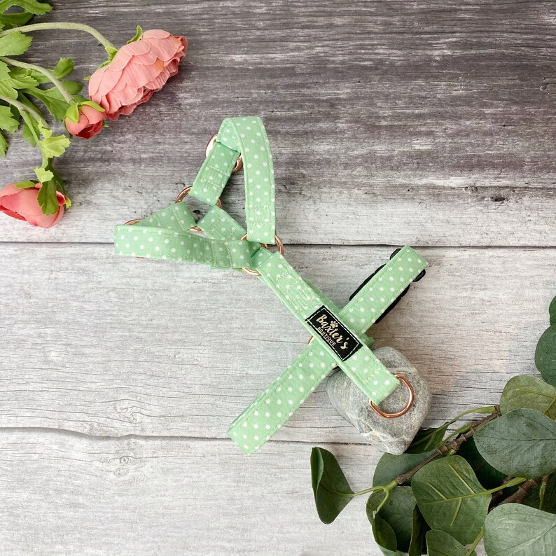 Custom Dog Harness Mojito Green Polka Dot Print Dog Harness Dog Harness Puppy Harness Strap Dog Harness Polka Dot Dog Harness