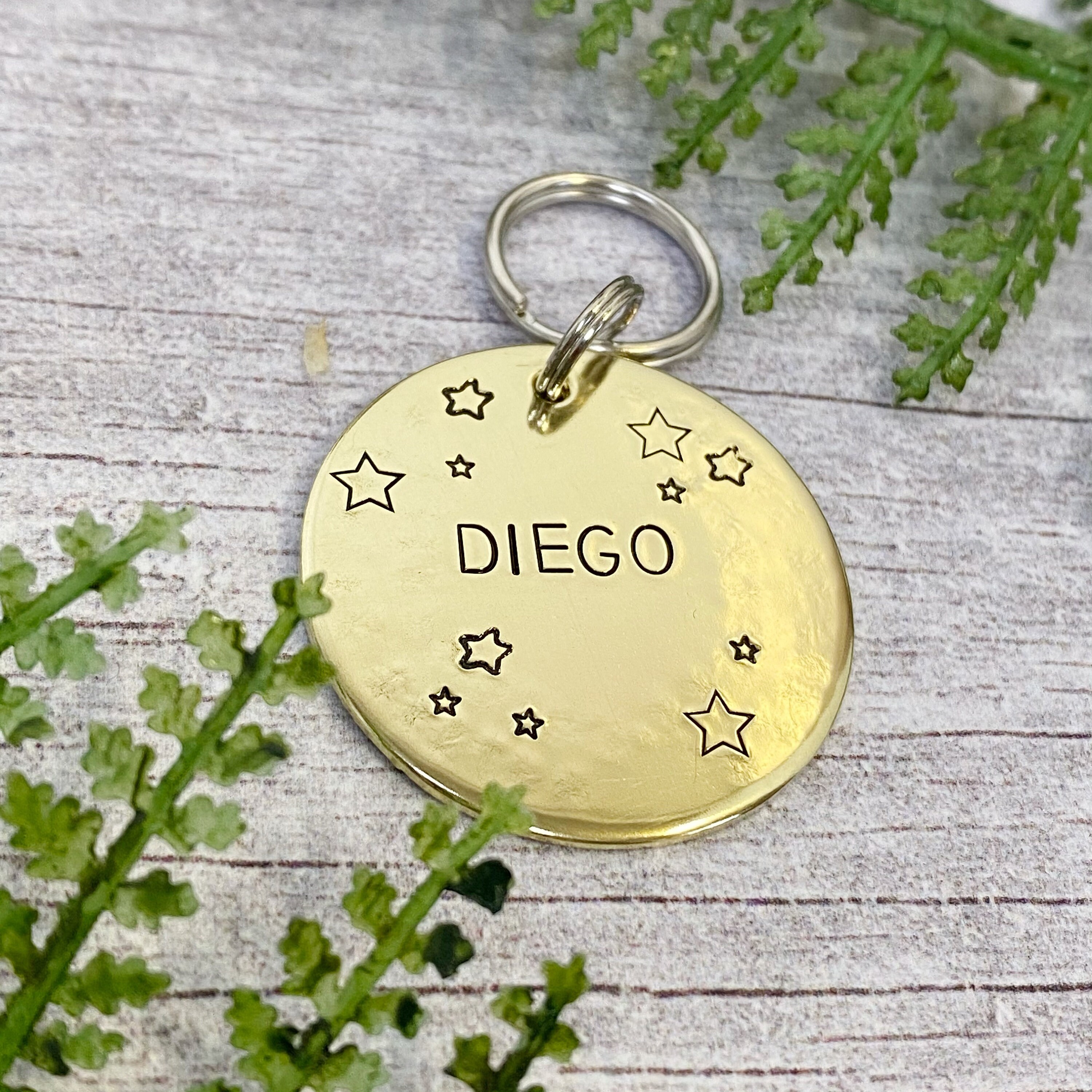 dog tag disc