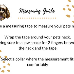 Dog Collar Tan Tartan Dog Collar Handmade Dog Collar Dog Collar And Lead Set Tartan Dog Collar Plaid Collar And Leash image 6