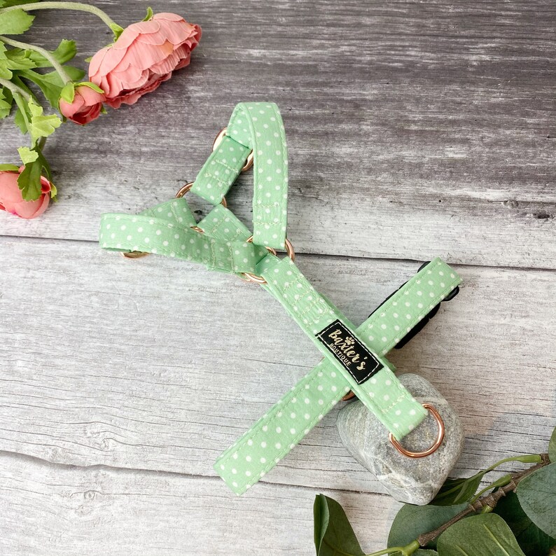 Custom Dog Harness Mojito Green Polka Dot Print Dog Harness Dog Harness Puppy Harness Strap Dog Harness Polka Dot Dog Harness