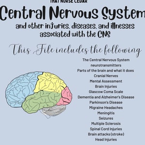 The Central Nervous System / Nursing School / Neurotransmitters / Brain Injuries / Neuro Nursing / CNS / Cranial Nerves / Mental Health