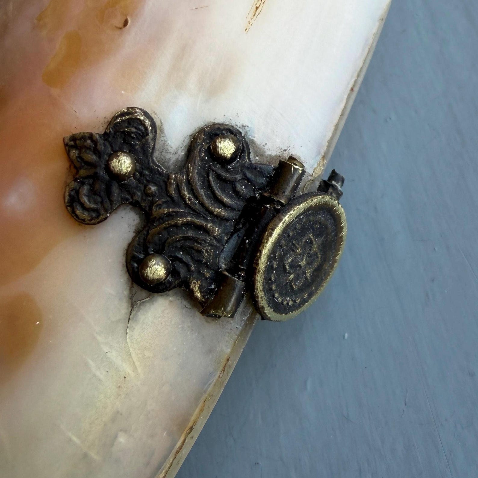 Antique Concertina Shell Purse: Victorian Coin Purse - Etsy