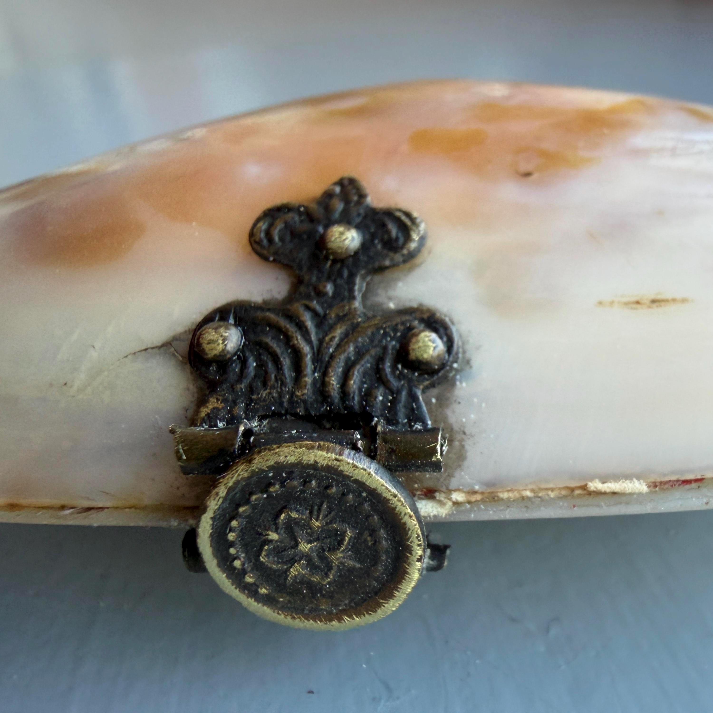 Antique Concertina Shell Purse: Victorian Coin Purse - Etsy
