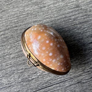 Vintage Tiger Cowrie Shell-väska: Ringväska från 1920-talet