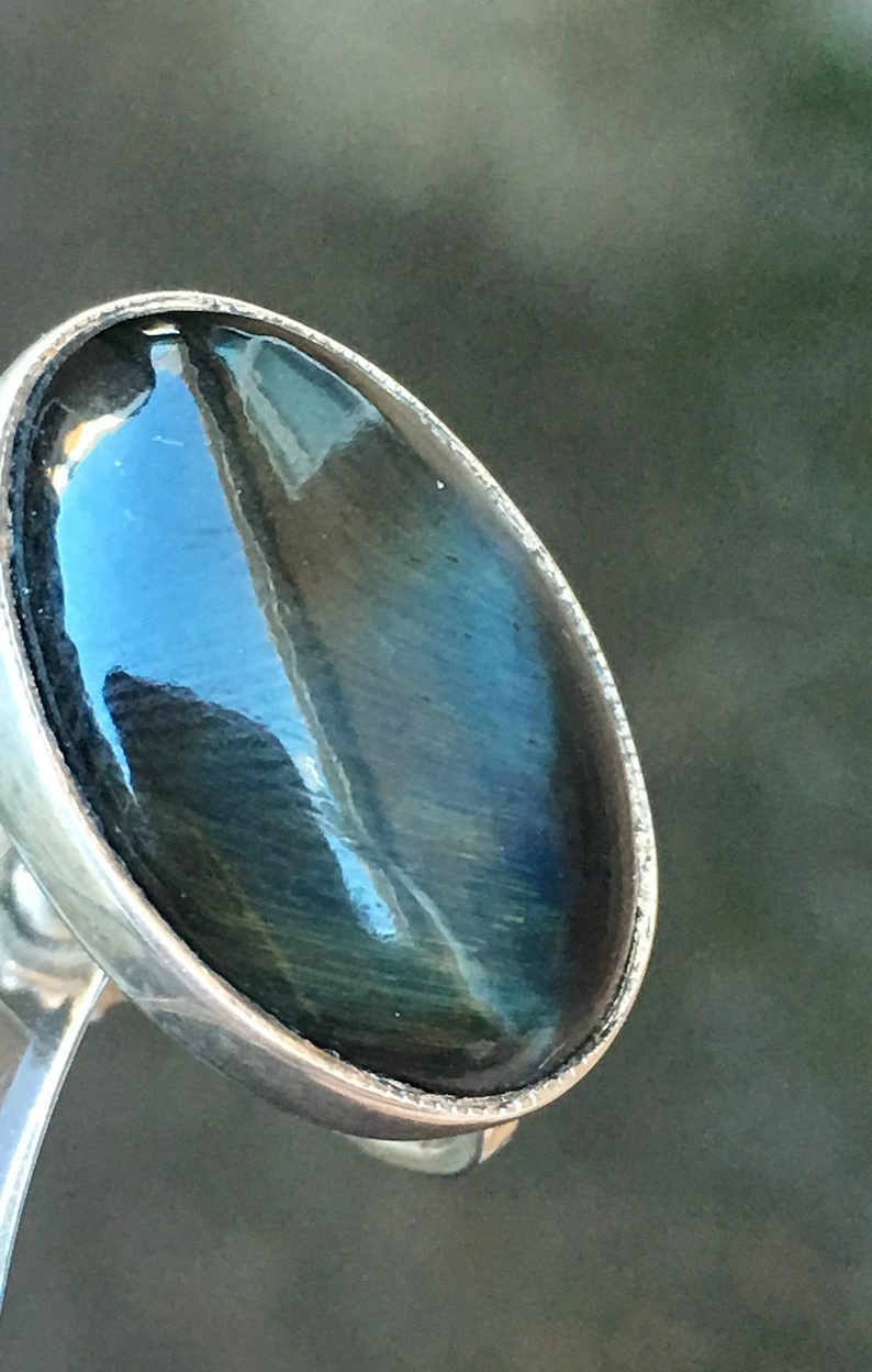 1950s Silver Earrings Blue Tigers Eye Black Oval Large Vintage Retro Screw On