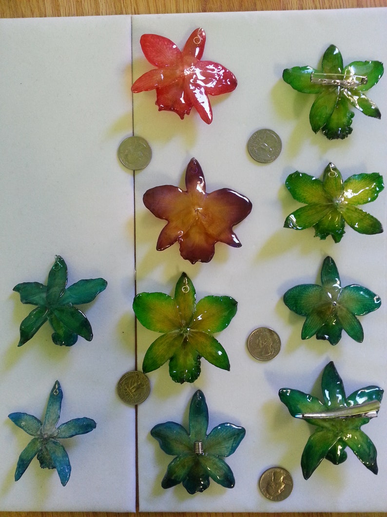 hair clips resin preserved Cattleya orchid pendants pins variety of colors