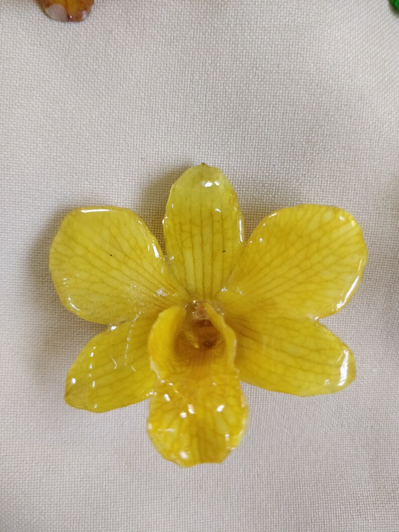 Resin Preserved Small Orchids Pendants Variety of Colors Etsy