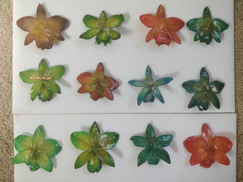 hair clips resin preserved Cattleya orchid pendants pins variety of colors