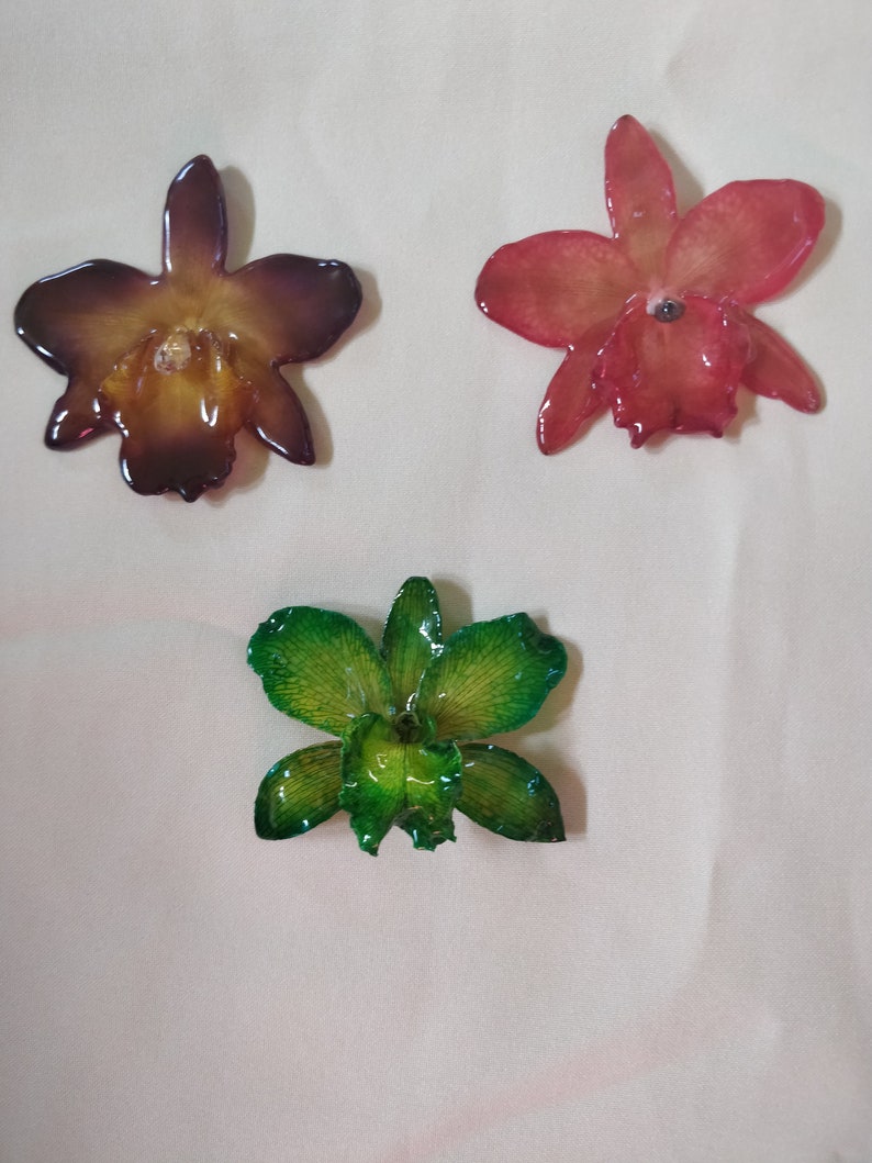 hair clips resin preserved Cattleya orchid pendants pins variety of colors
