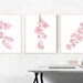 Tierra Crawford reviewed Cherry blossom wall art set, Spring flowers wall art, Printable cherry blossom prints, watercolor sakura flower, set of 3 watercolor flower