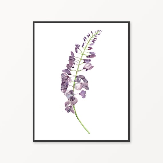 Botanical print, Printable blue flower, watercolor flower, purple flower wall art, printable art, botanical wall art,  Wisteria flower art