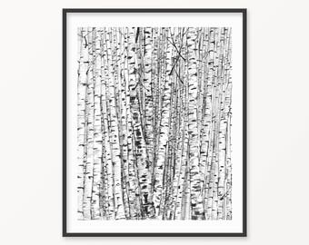 Black and White Birches Forest Print, Tree Drawing (Digital Download)