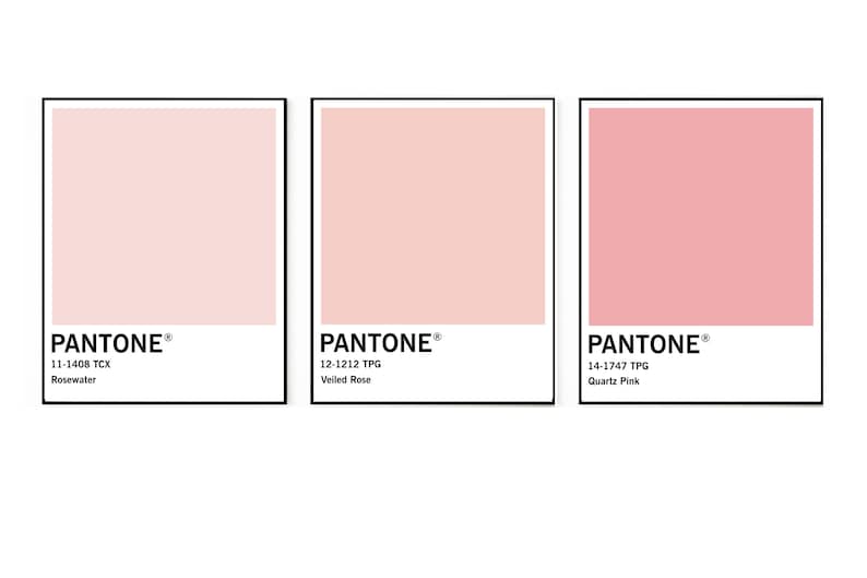 Blush Pink Color Chart