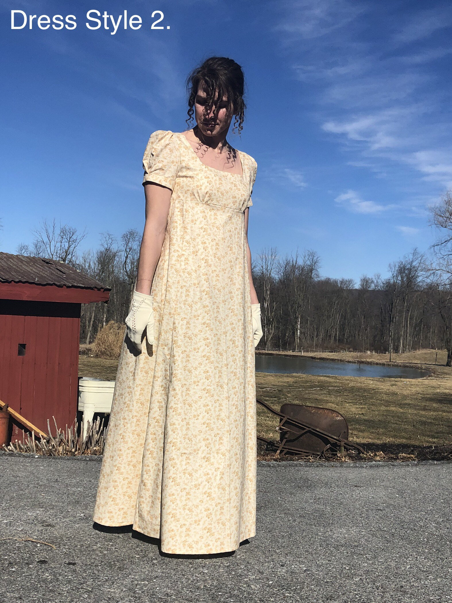 regency style dress