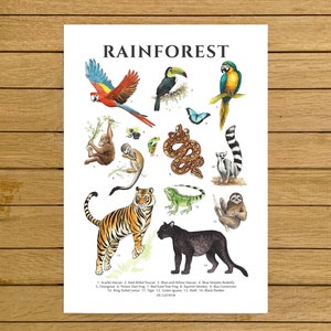 Rainforest Poster, Rainforest Animals, Watercolor Art, Nursery Decor, Jungle Animals, Tropical Home Decor, Montessori Kids, Biology Wall Art