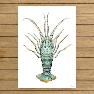 Ornate Lobster, Turquoise, Lobster, Illustration, Giclée Print, Watercolor Illustration, Home Decor, Kids Room, A5, 8.5&quot;x11&quot;, A4, A3, 13&quot;x19
